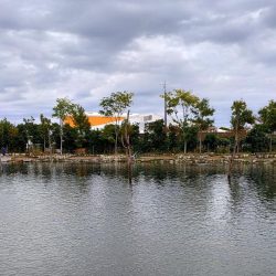 何かを掴めたのかな ～フィッシングパーク高島の泉～